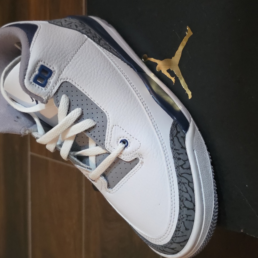 Jordan 3 Retro PS in White and Midnight Navy